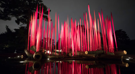 NYBG CHIHULY 02 Red Reeds on Logs 2017 470x260 1