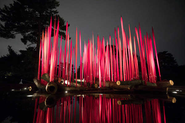 stephen j goldberg los angeles lawyer dale chihuly red reeds on logs 2017 - paying assistants