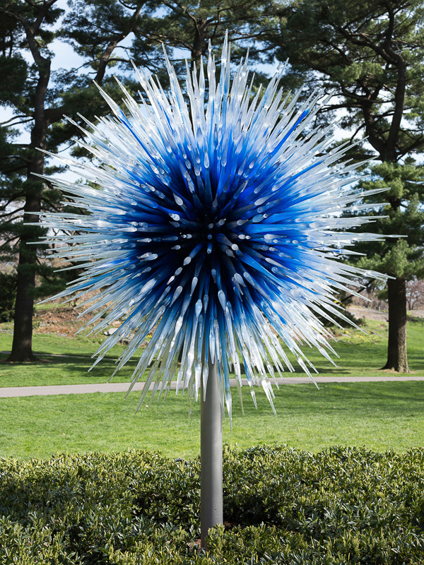 stephen j goldberg los angeles lawyer dale chihuly sapphire star 2017 - paying assistants